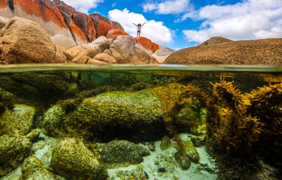 Under water, Tasmania Tasmania, Australia