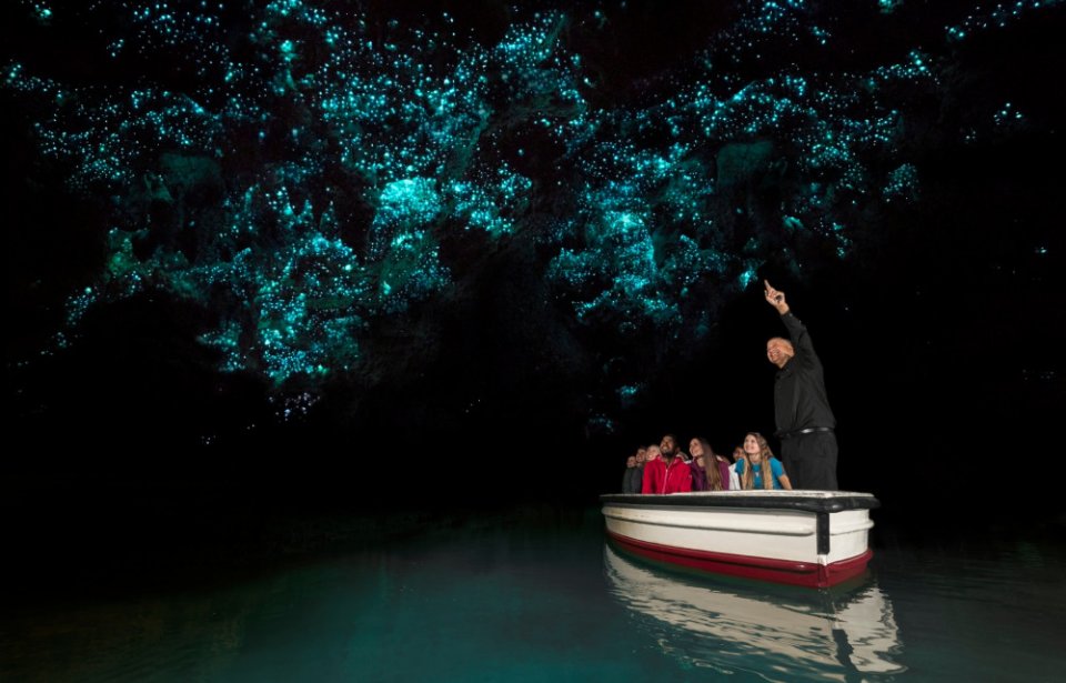 Waitomon kiiltomatoluolat Waitomo, Waikato
