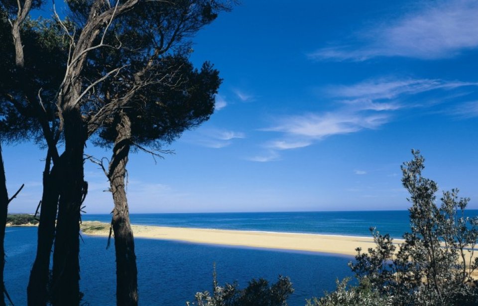 Ninety Mile Beach Ninety Mile Beach