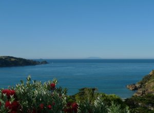 The Boatshed, Waiheke, Uusi-Seelanti