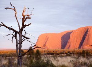 Uluru the red centre