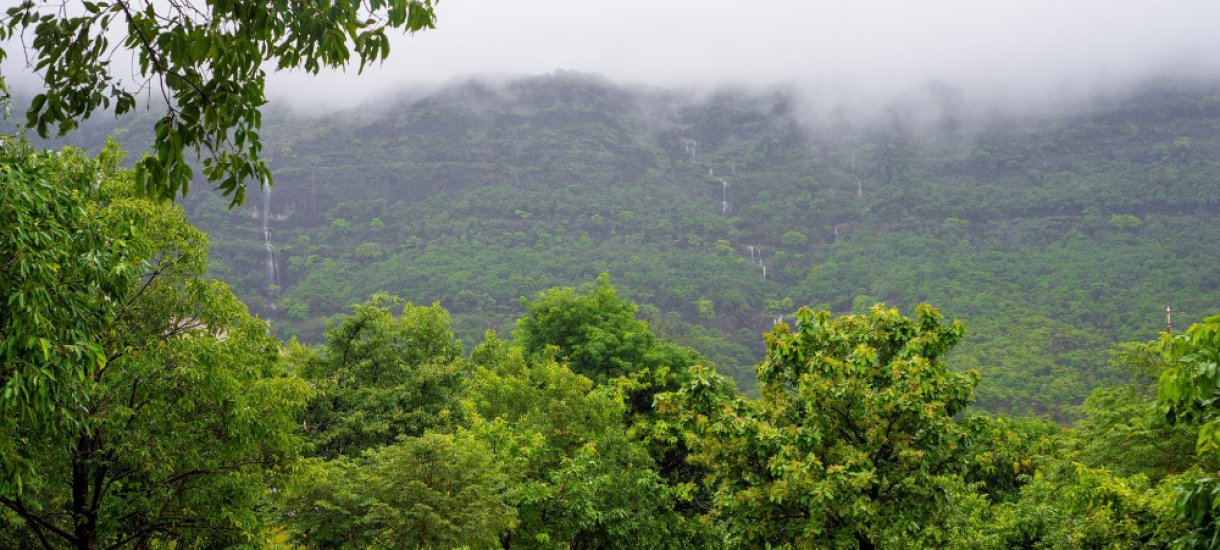 Atmantan Wellness Resort Atmantan Wellness Resort