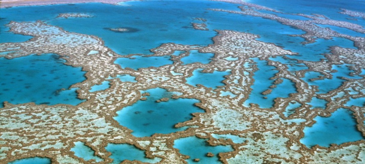 Cairns ans The Great Barrier Reef, isot valliriutat