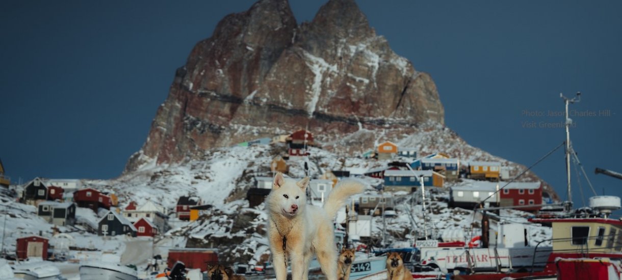 Grönlanninkoiria Grönlanninkoiria