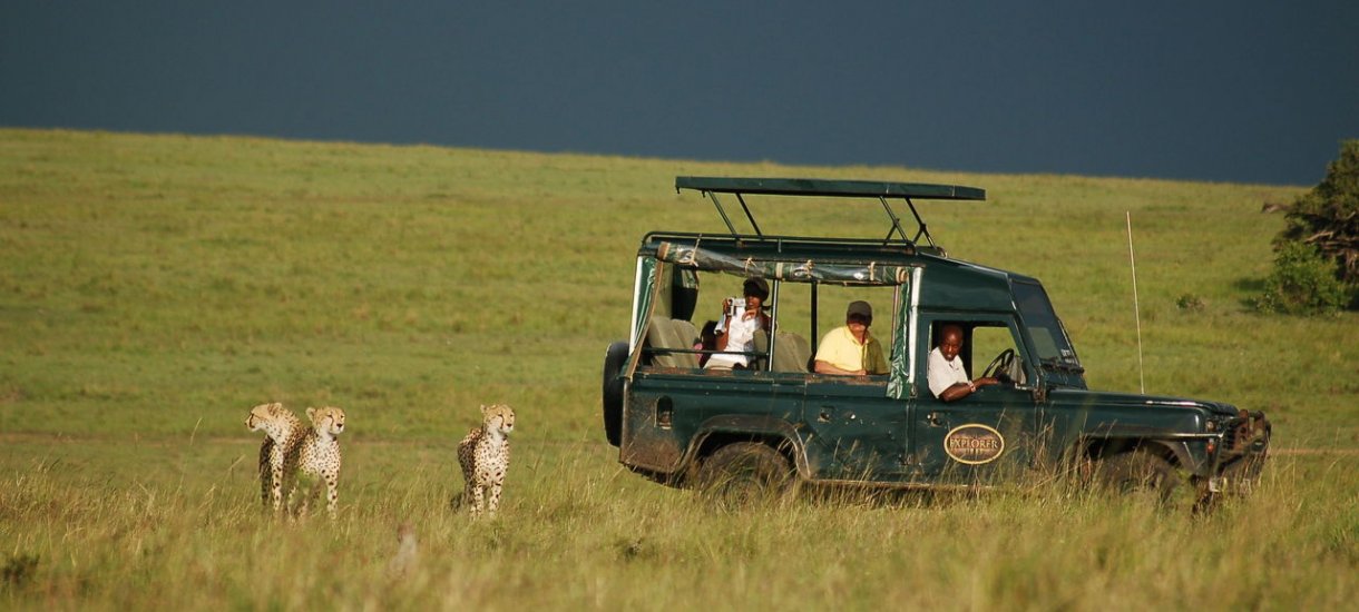 Kenia Masai Mara Mara Intrepids leopardit