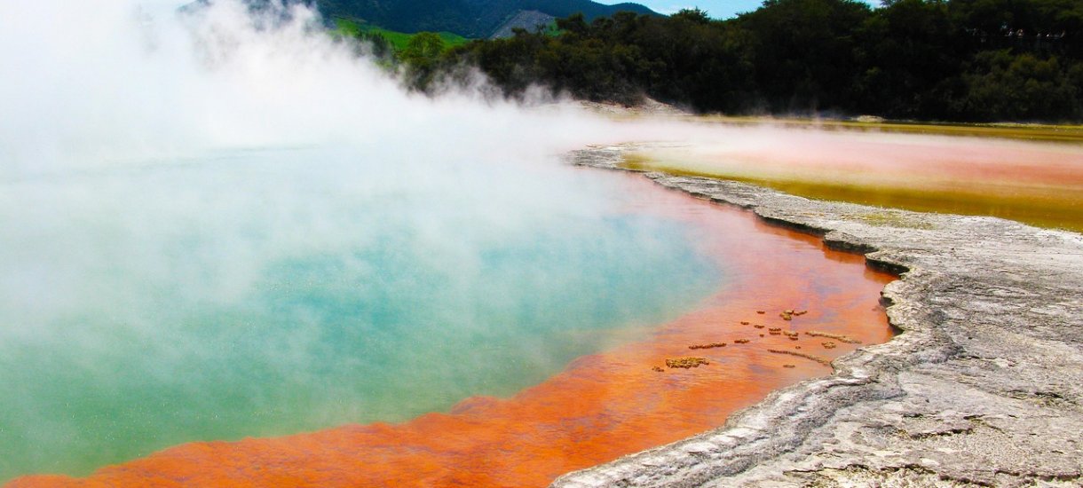 Rotorua Geyser
